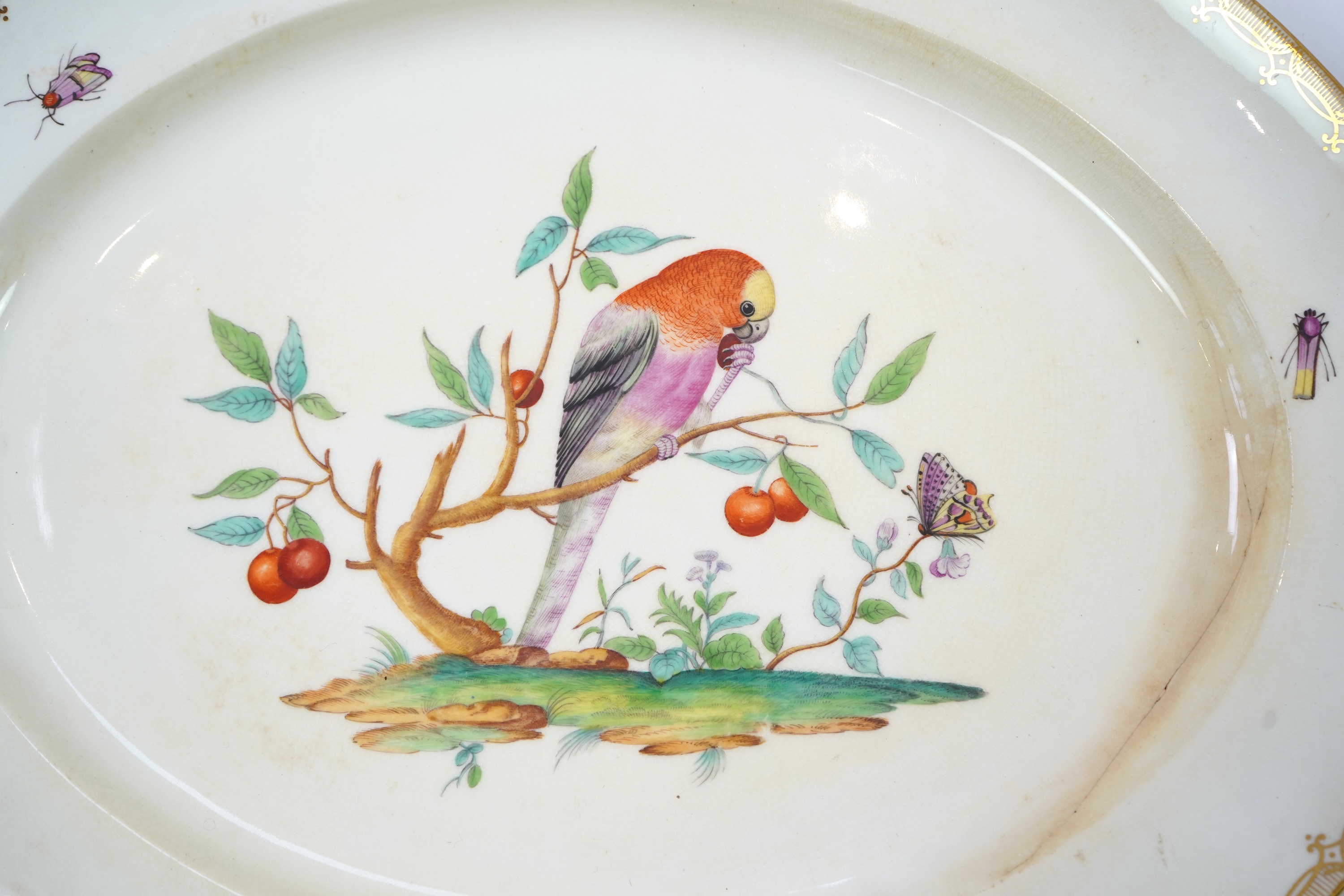 A Coalport bird painted part dinner service, mid 19th century